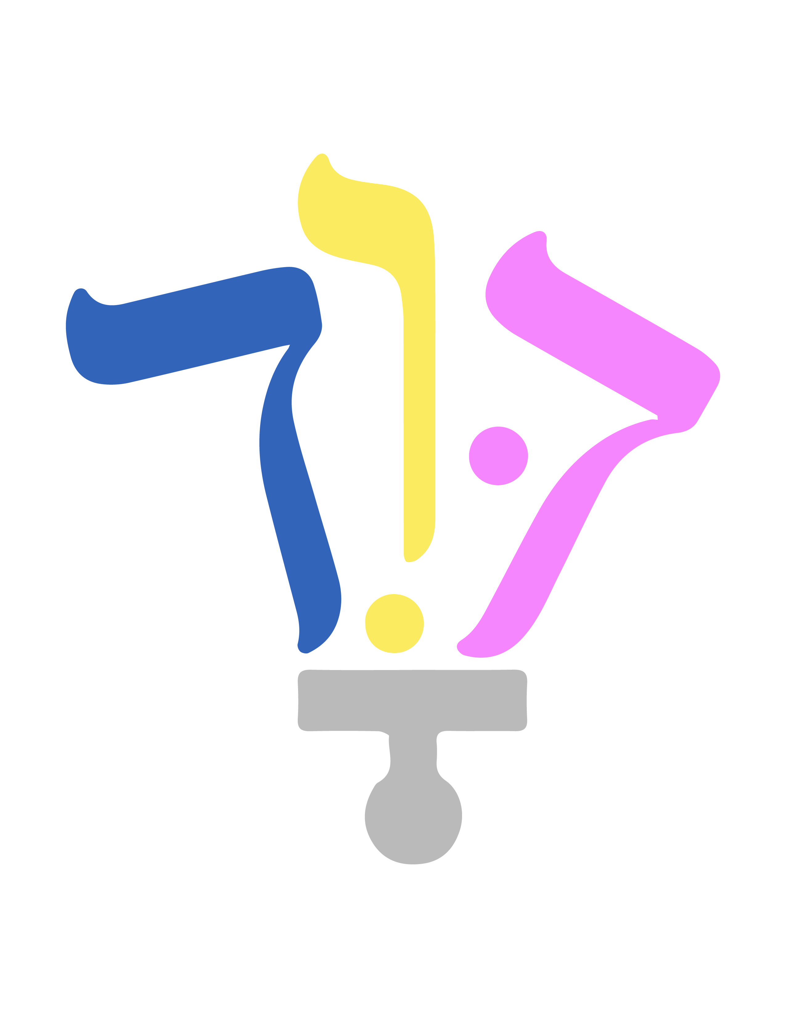 Descripción de la Imagen 2