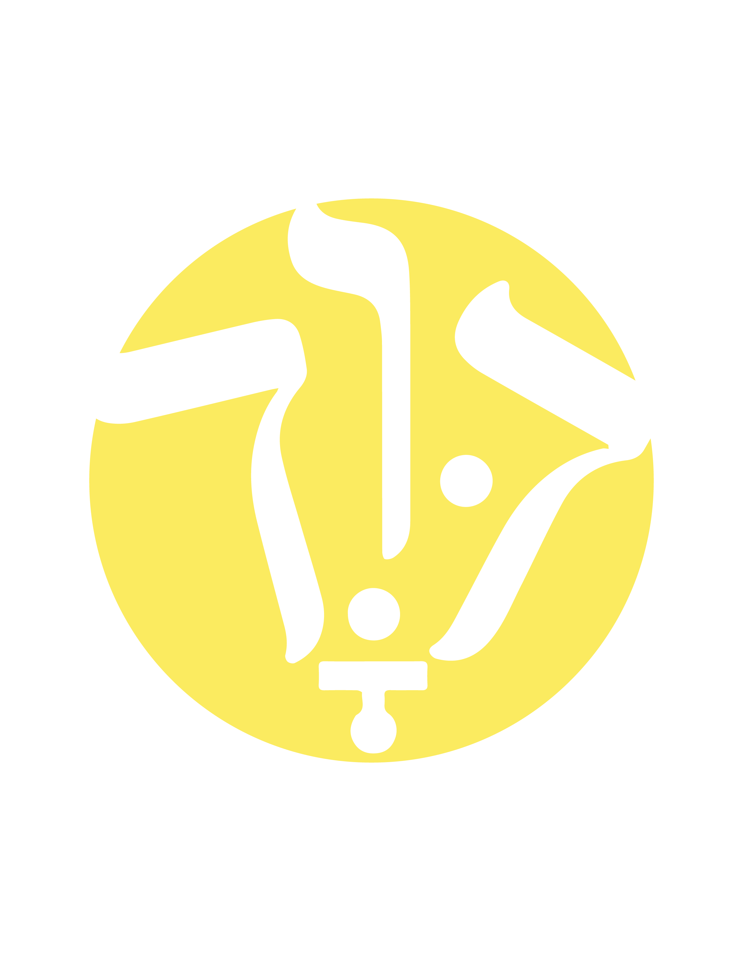 Descripción de la Imagen 2