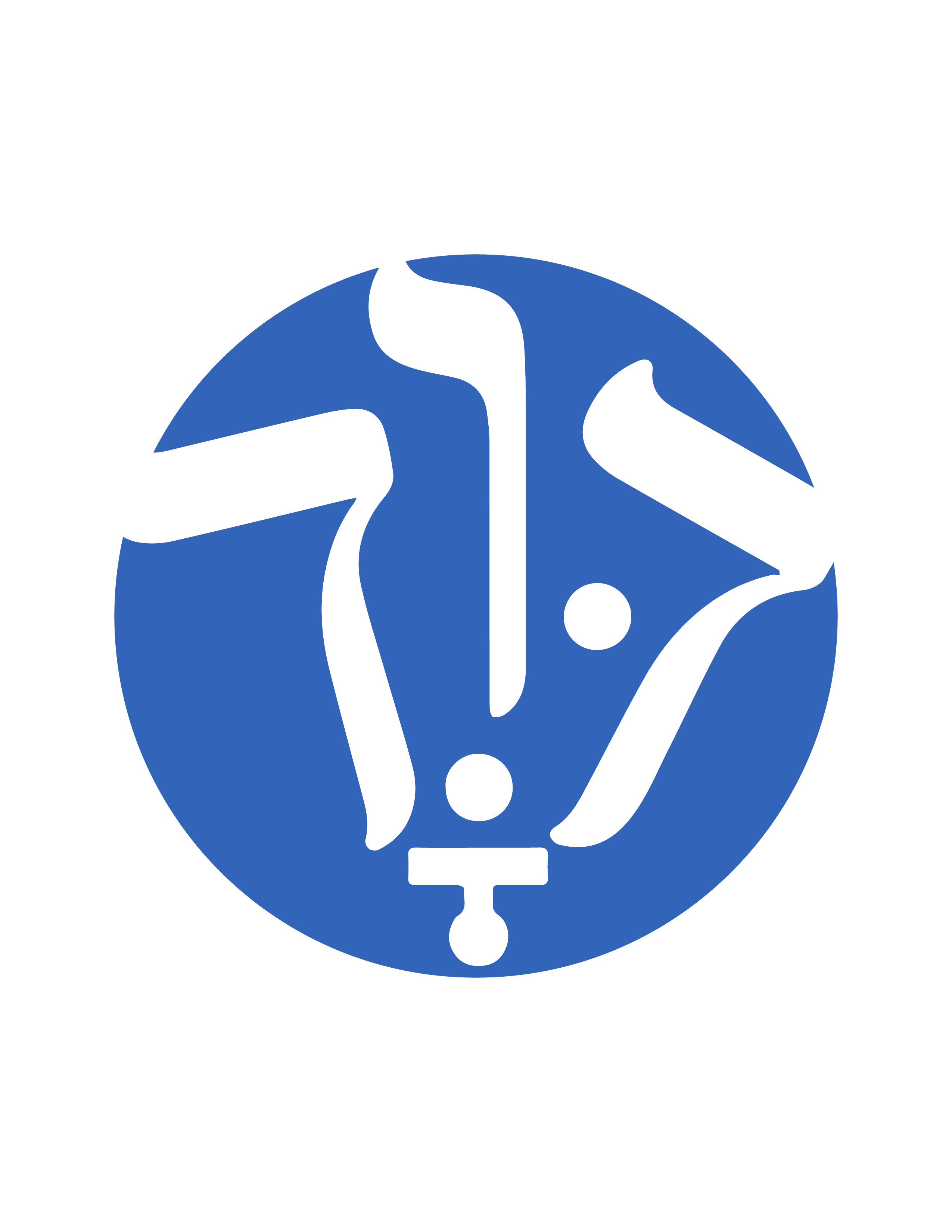 Descripción de la Imagen 1