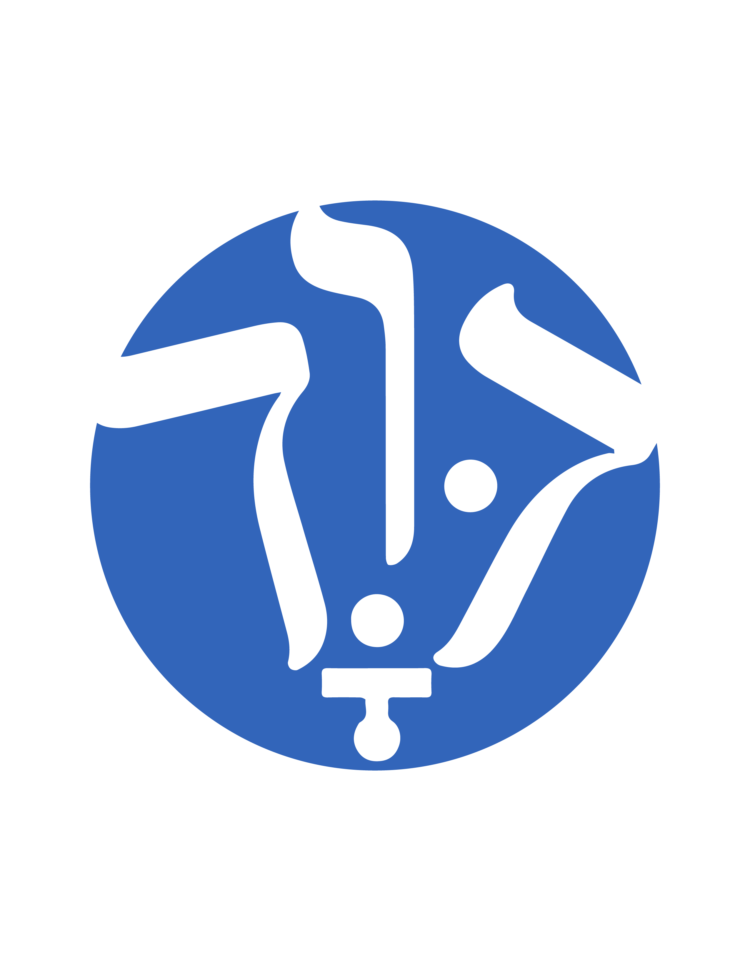 Descripción de la Imagen 2