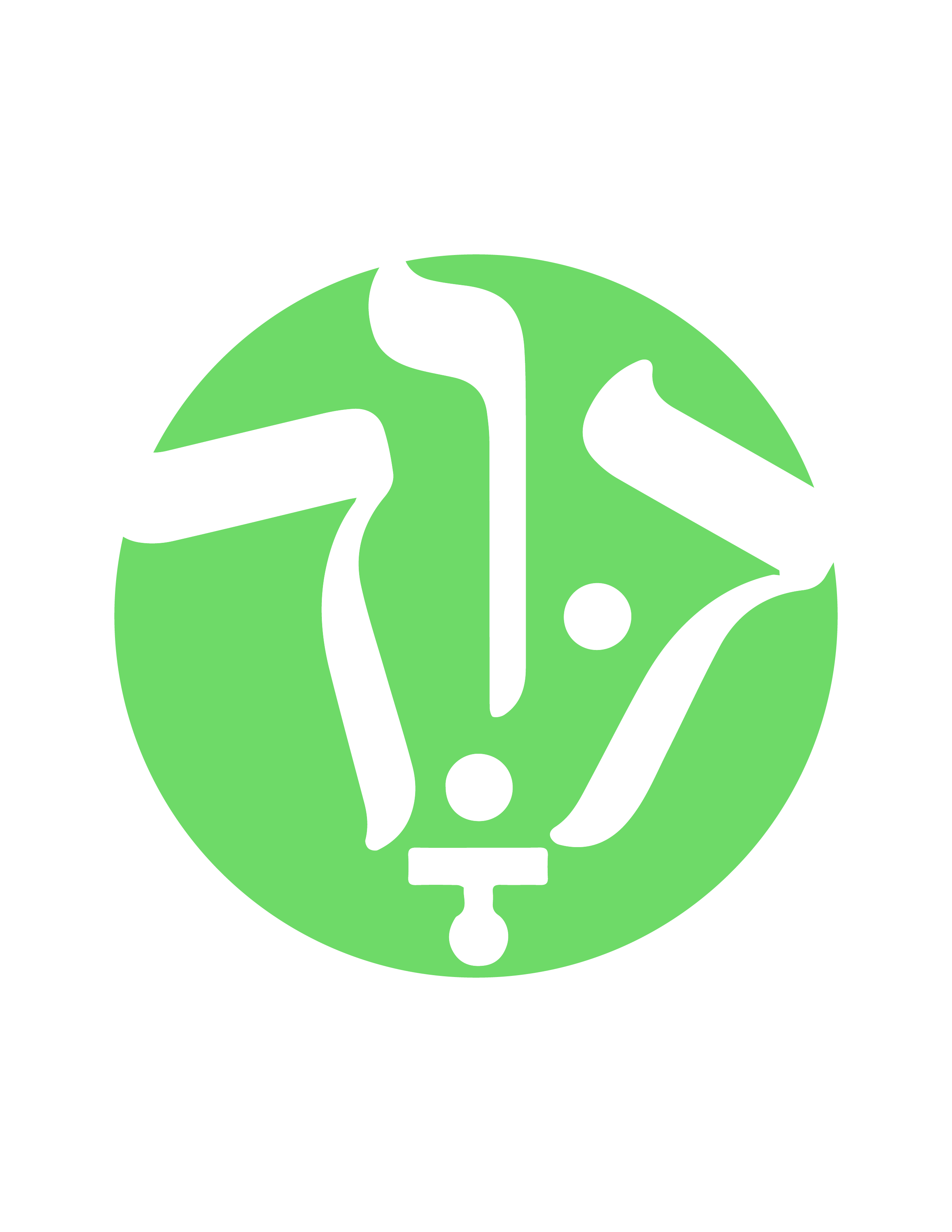 Descripción de la Imagen 1