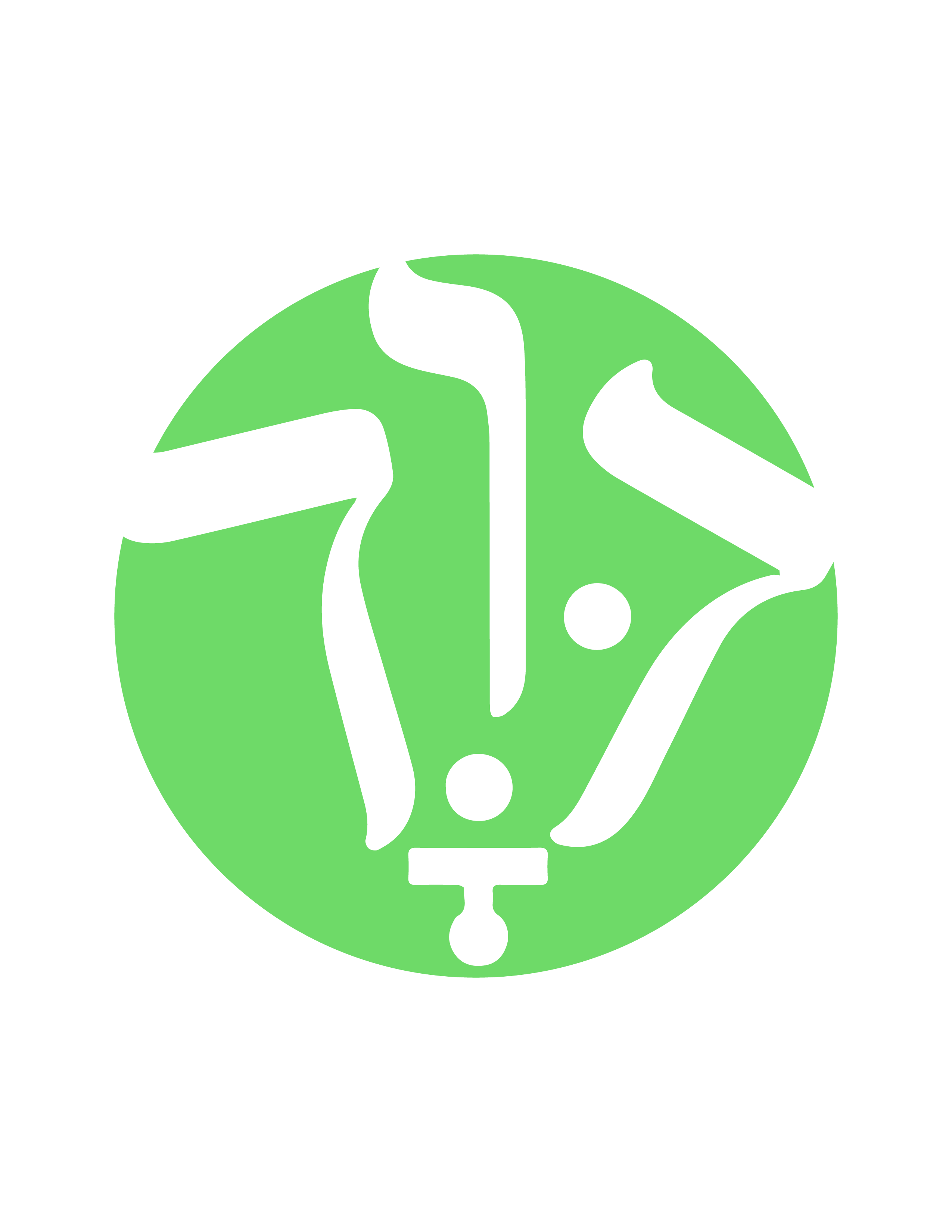 Descripción de la Imagen 2