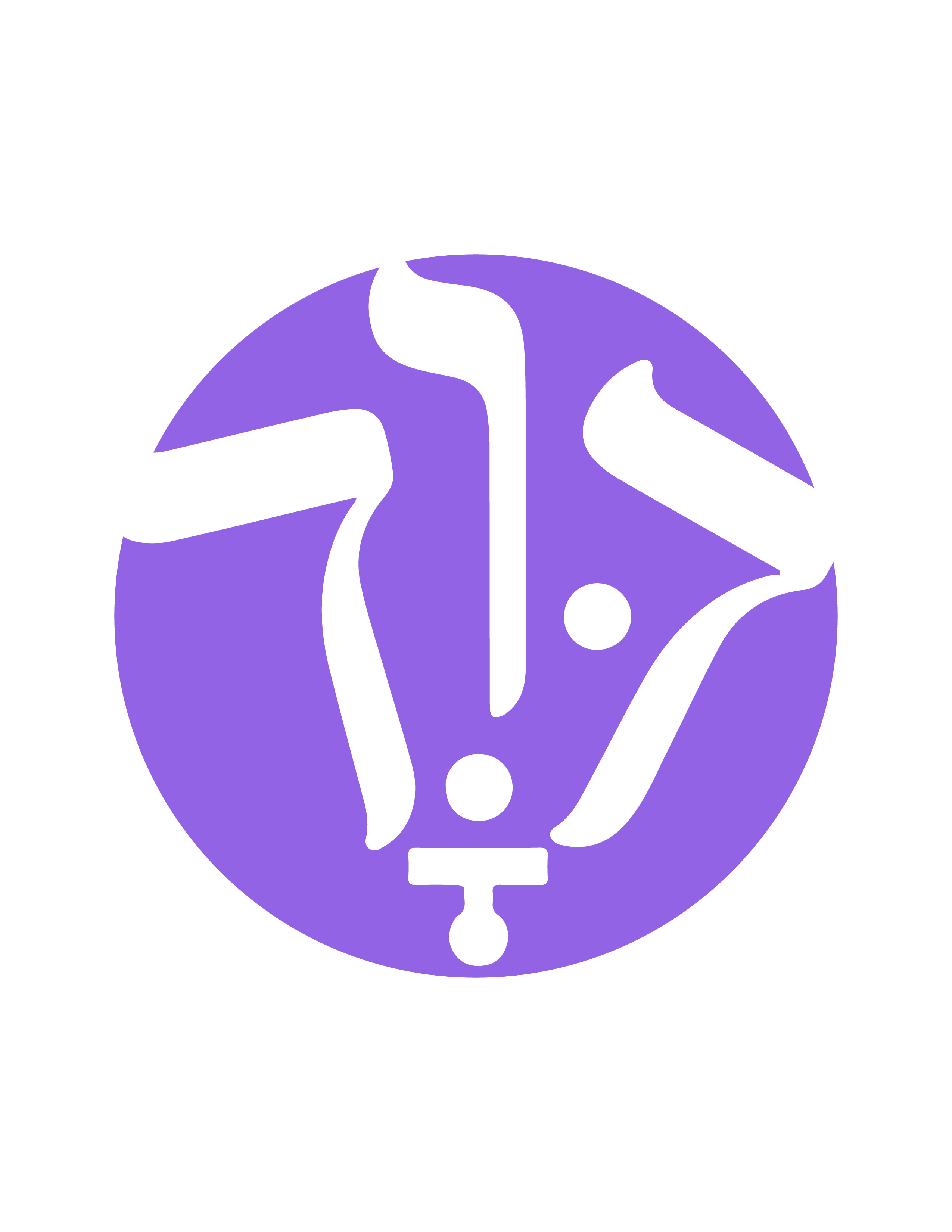 Descripción de la Imagen 2